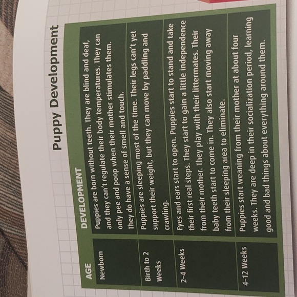 Dog Training Guide Book - Picture 13 of 15